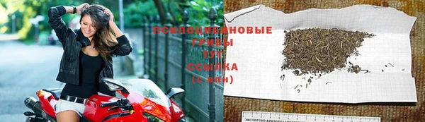 индика Алзамай