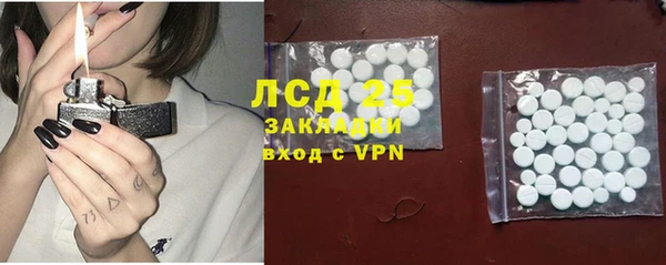 прущие грибы Кукмор