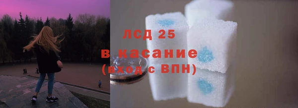 индика Алзамай