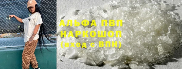 индика Алзамай