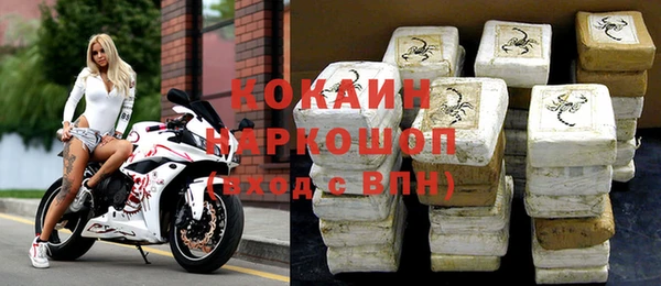 индика Алзамай