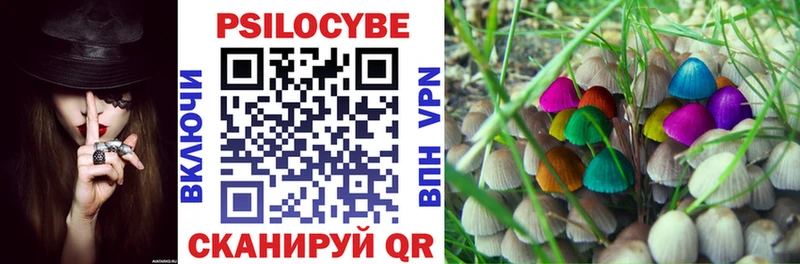 Галлюциногенные грибы Cubensis Омутнинск
